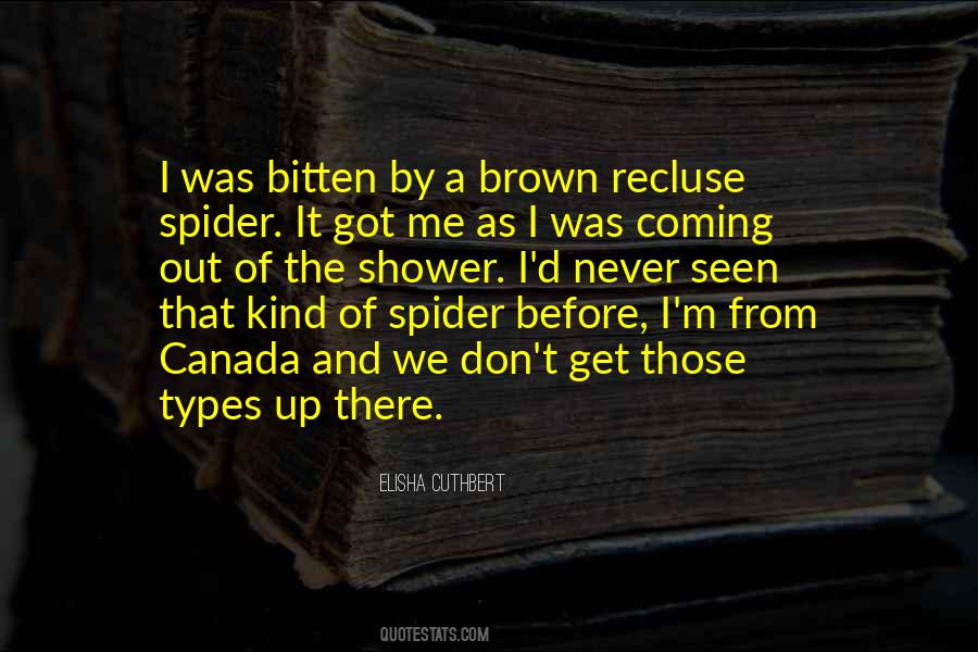 Brown Recluse Quotes #169253