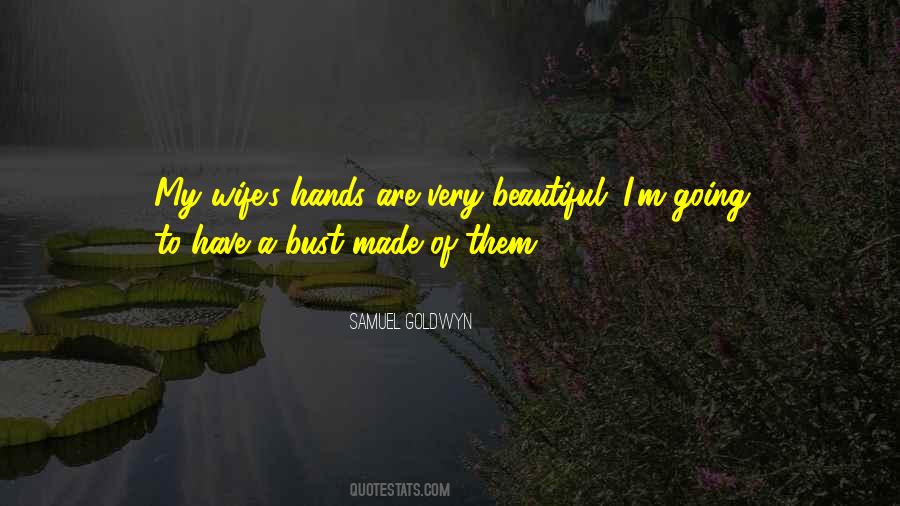 A Beautiful Wife Quotes #54830