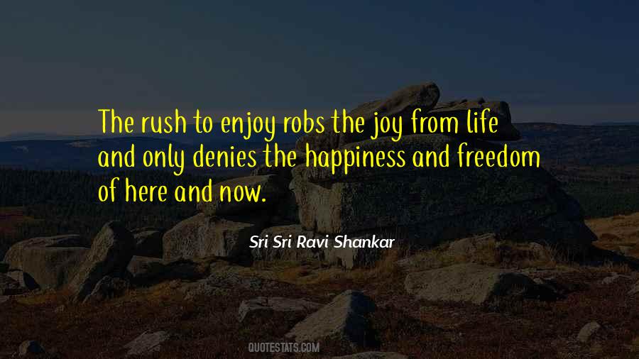 We Are Here To Enjoy Life Quotes #1425135