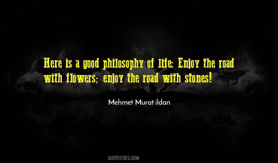 We Are Here To Enjoy Life Quotes #695931