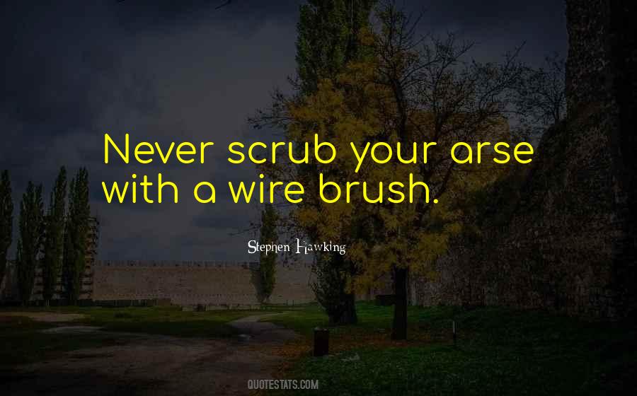 Brush Quotes #1244948