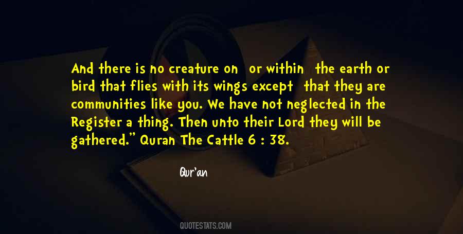 Qur An Quotes #535974