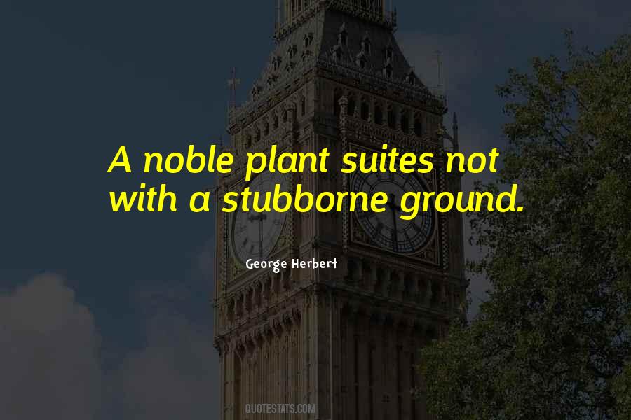 Family User Quotes #130219