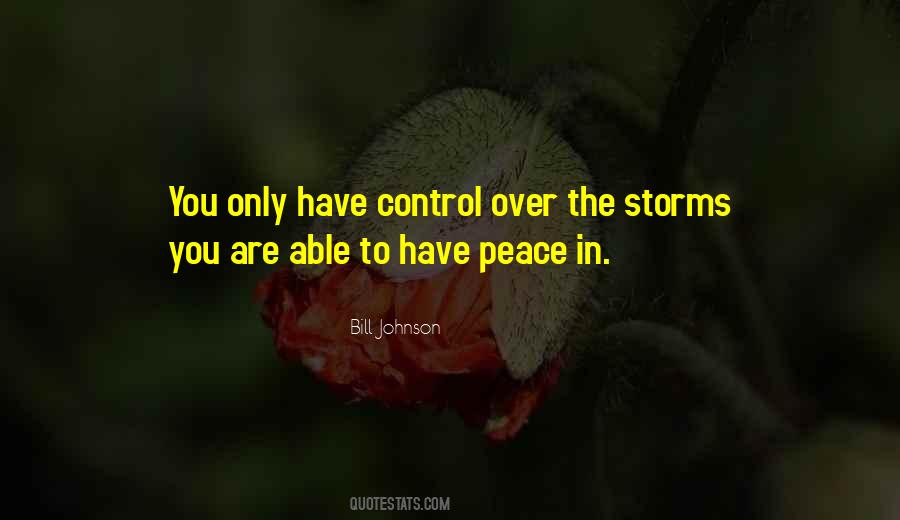 You Are The Storm Quotes #1149730