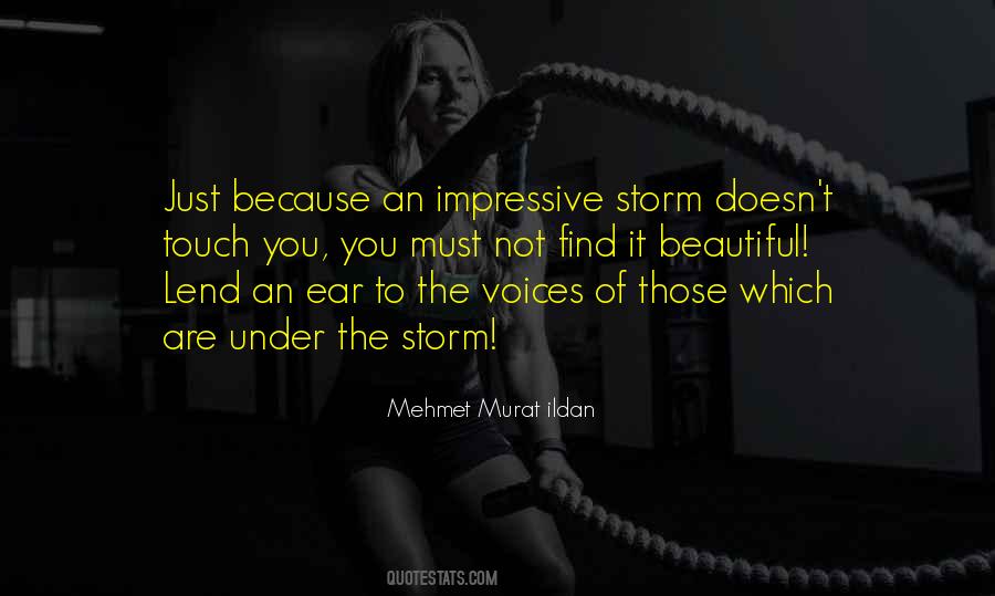You Are The Storm Quotes #1198734