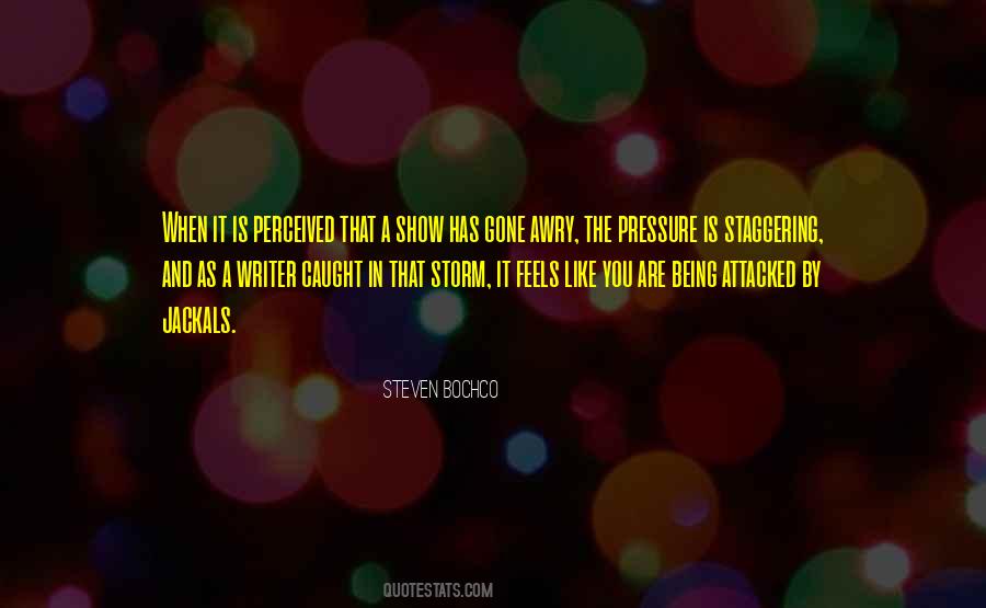 You Are The Storm Quotes #1593898