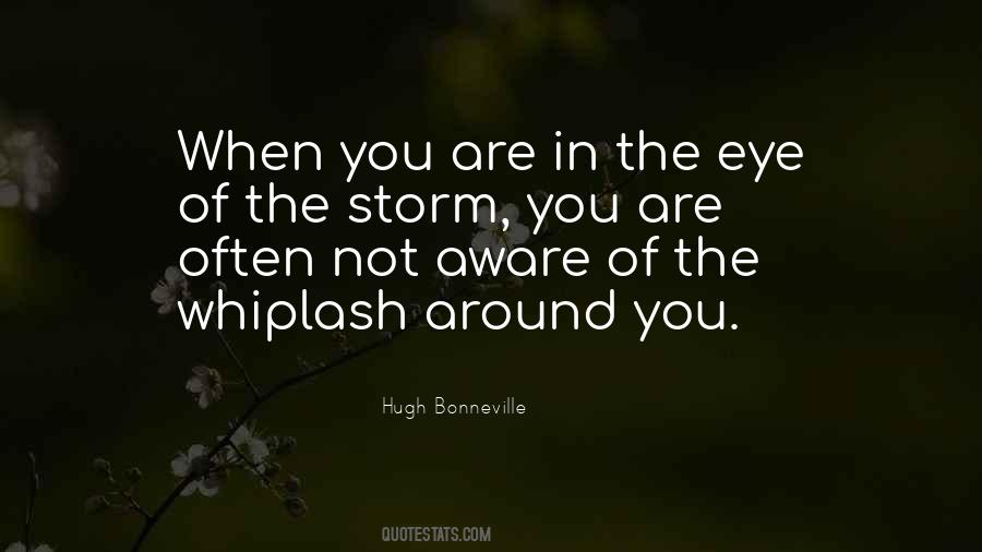You Are The Storm Quotes #1658241
