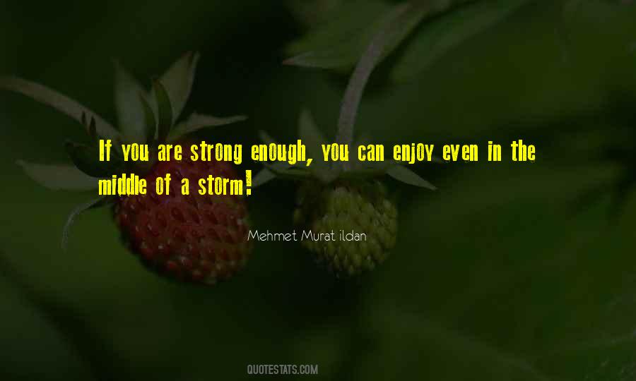 You Are The Storm Quotes #1872508