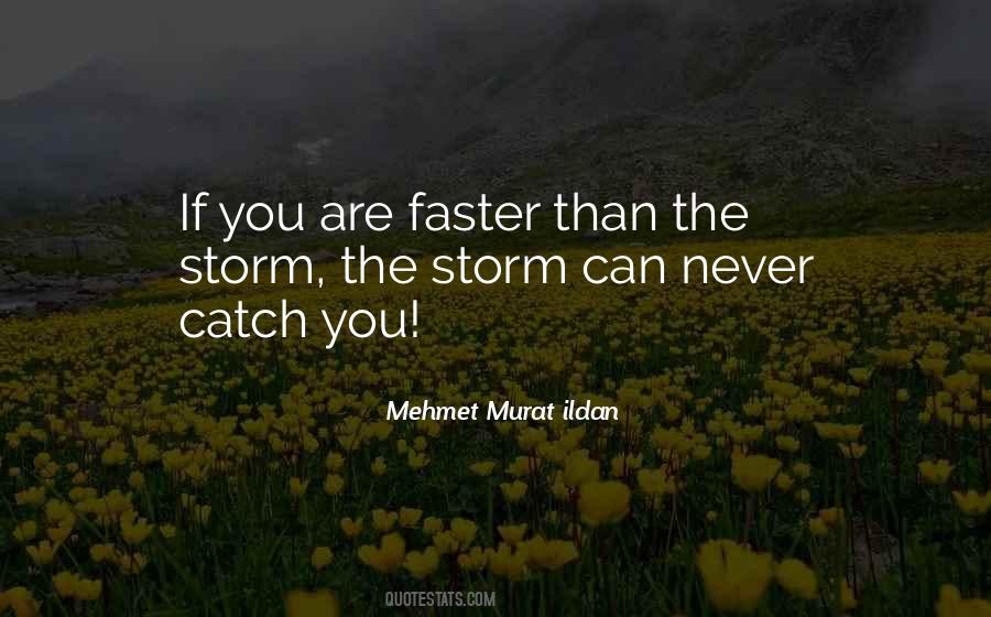 You Are The Storm Quotes #222389