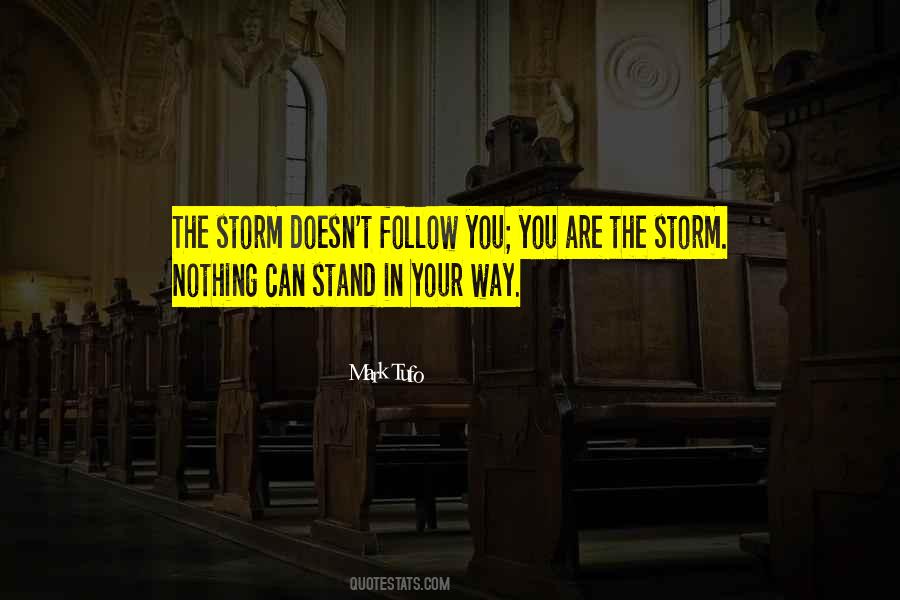 You Are The Storm Quotes #937968
