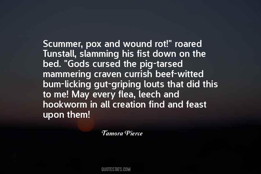 Externus Abdominis Quotes #1539785