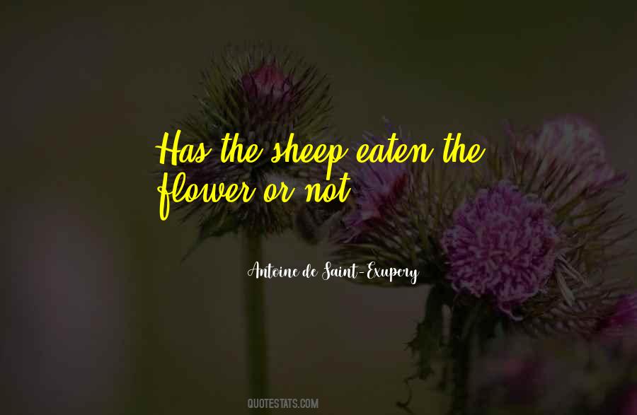 Joumana Underwood Quotes #1746054