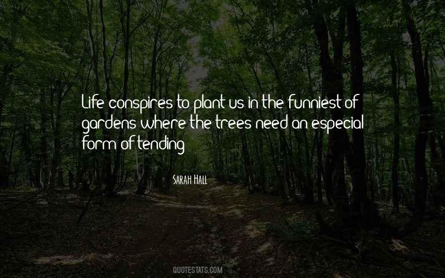 Trees Life Quotes #118685