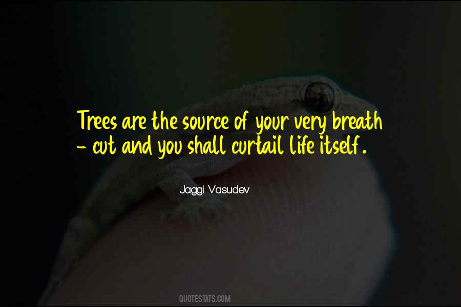 Trees Life Quotes #512422