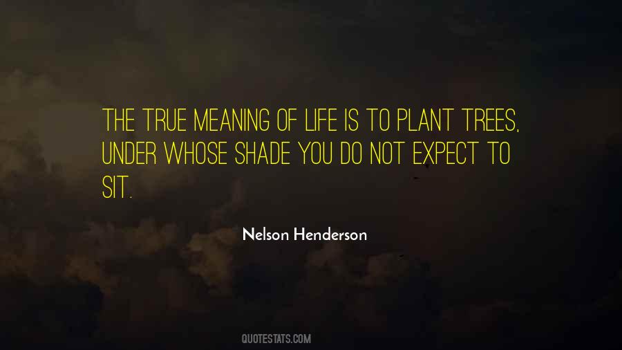 Trees Life Quotes #515710