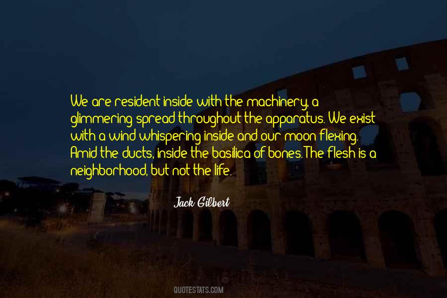 241941005 Quotes #1434441