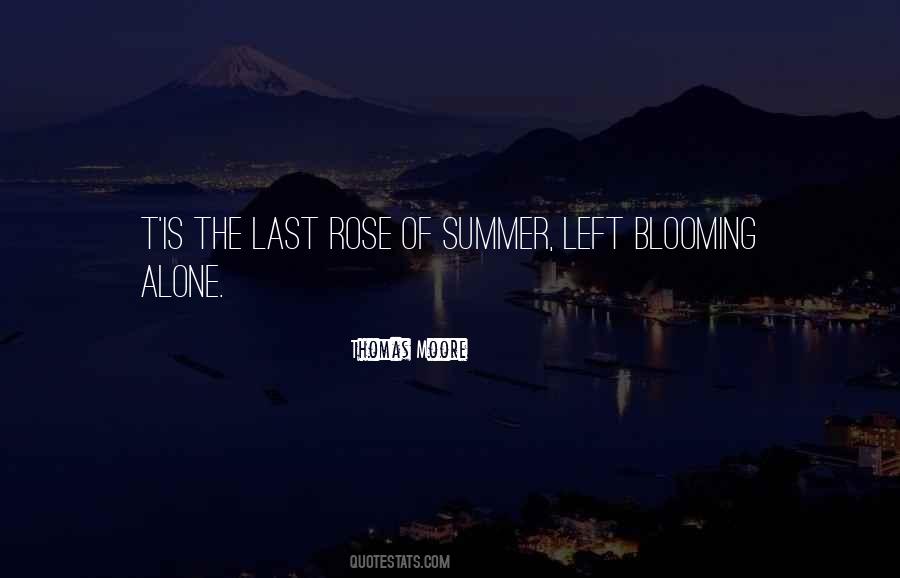 Summer Rose Quotes #515279