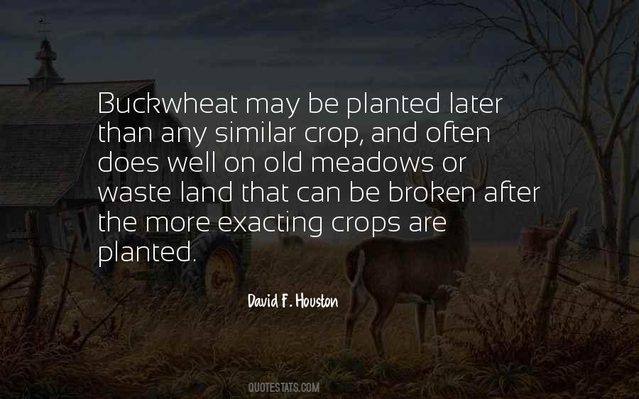 Buckwheat Quotes #269880