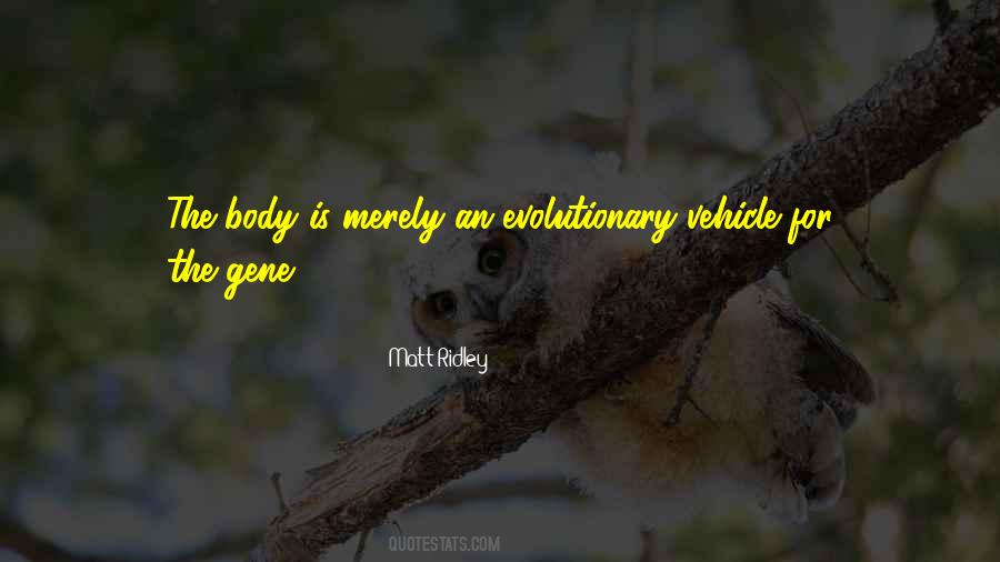 Wombats Band Quotes #1666976