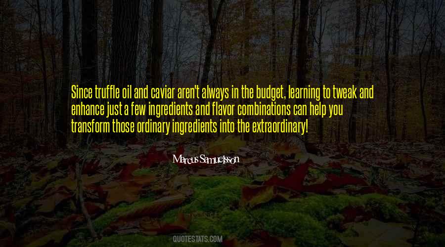 Budget Quotes #1688381