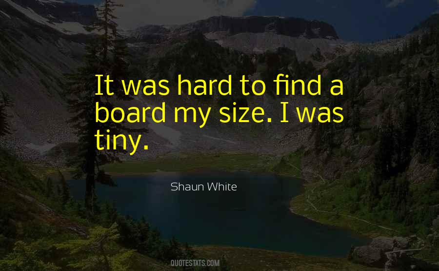 Charanjeet Singhs Age Quotes #165152