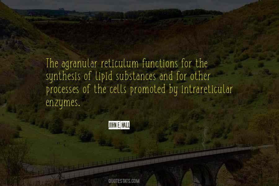 Reticulum Quotes #1548501