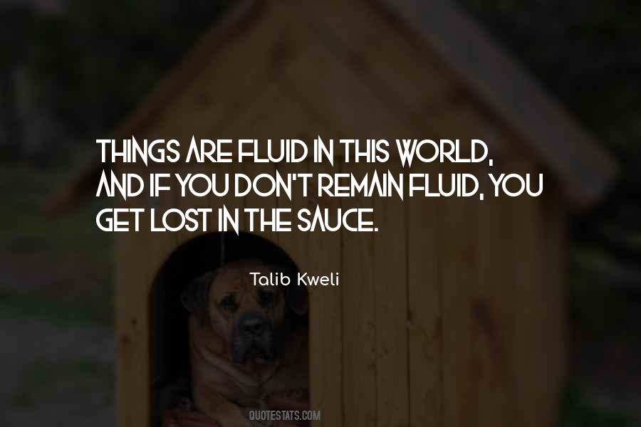 Quotes About Lost In The World #306265