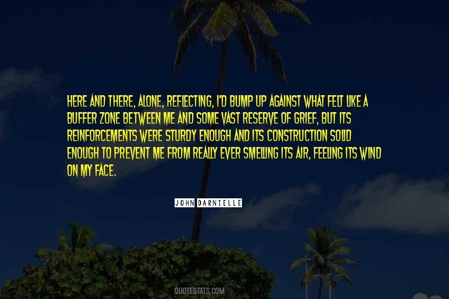 Buffer Zone Quotes #42537