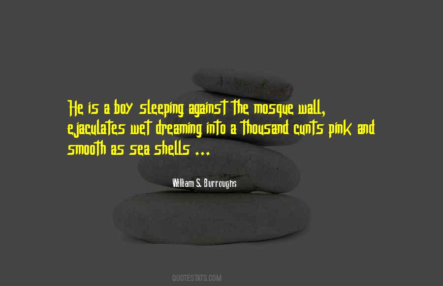 Quotes About The Shells #154830