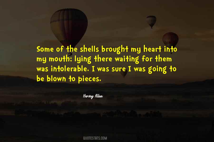 Quotes About The Shells #1767908