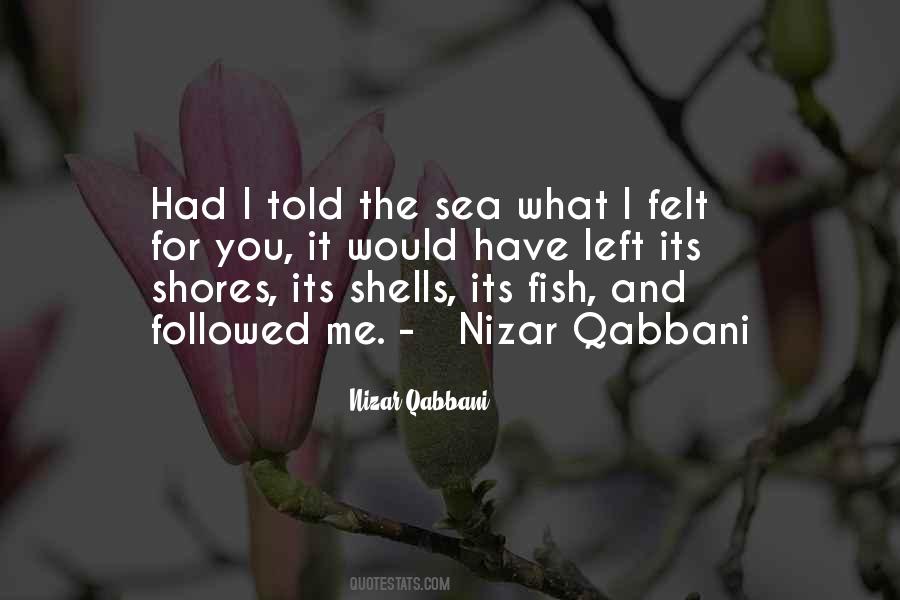 Quotes About The Shells #657629