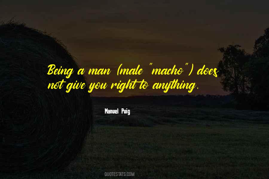 Binkie Muddlefoot Quotes #1168962