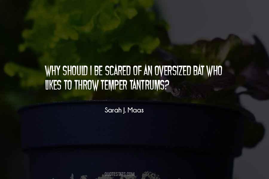 Child Meltdowns Quotes #197544