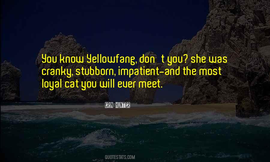 Adeles Husband Quotes #442613