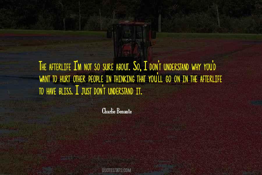 Imbrie Hall Quotes #967280