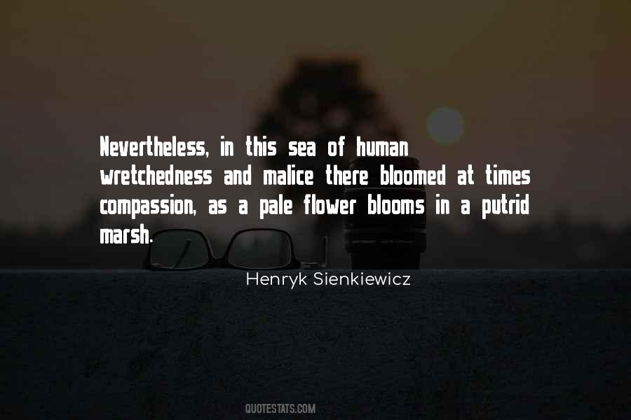Human Compassion Quotes #693533