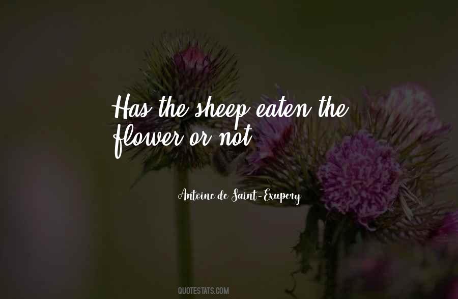 Quotes About The Sheep #1746054