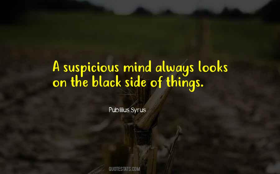 Syrupy Balsamic Vinegar Quotes #452013