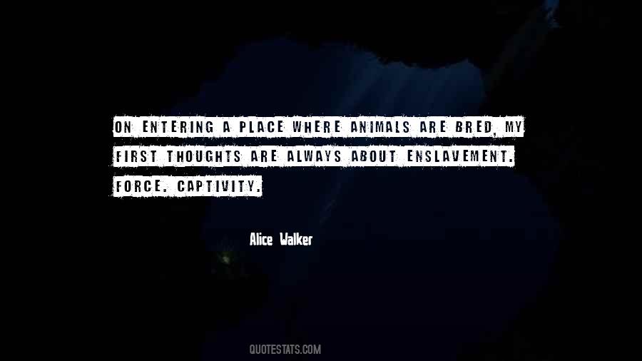 Axler Linear Quotes #1047086