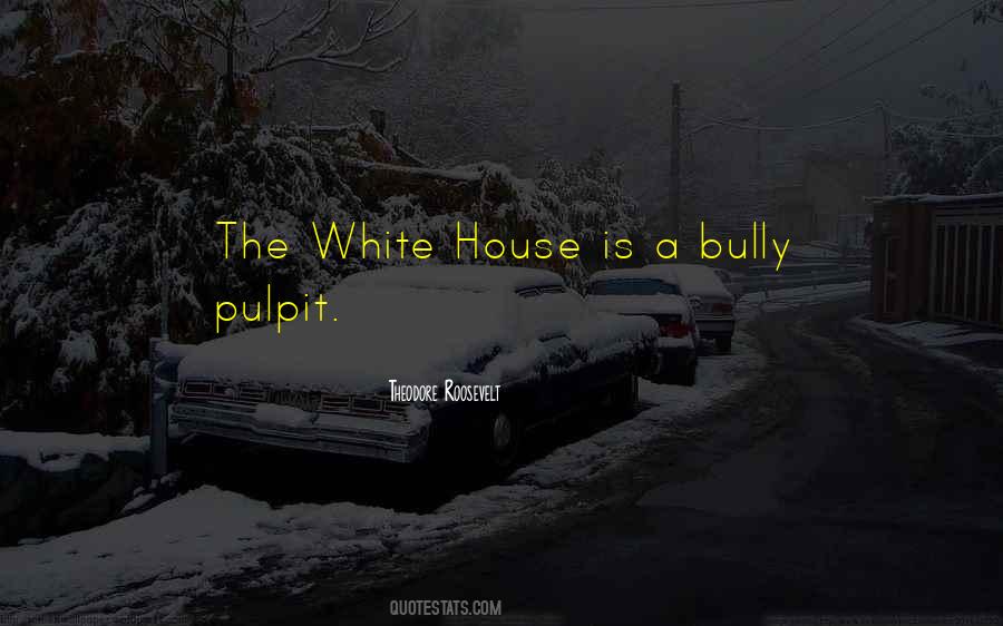 Bully Pulpit Quotes #274445