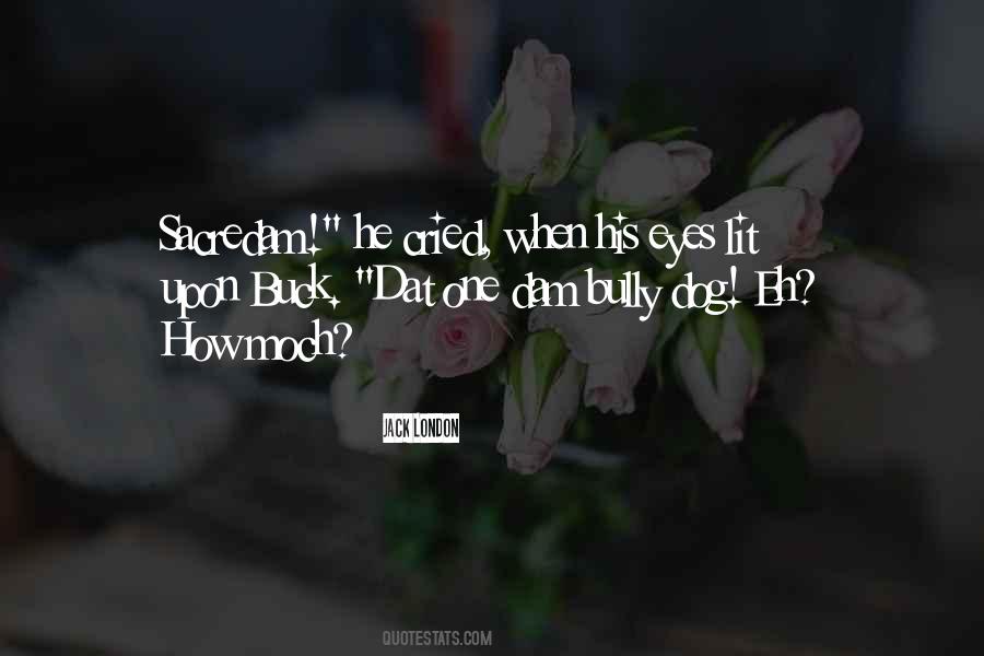 Bully Quotes #1106867
