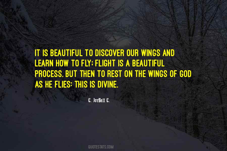 Wings Of God Quotes #803916