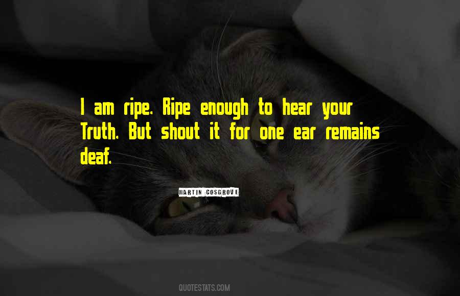 Ribelle Tech Quotes #1093255