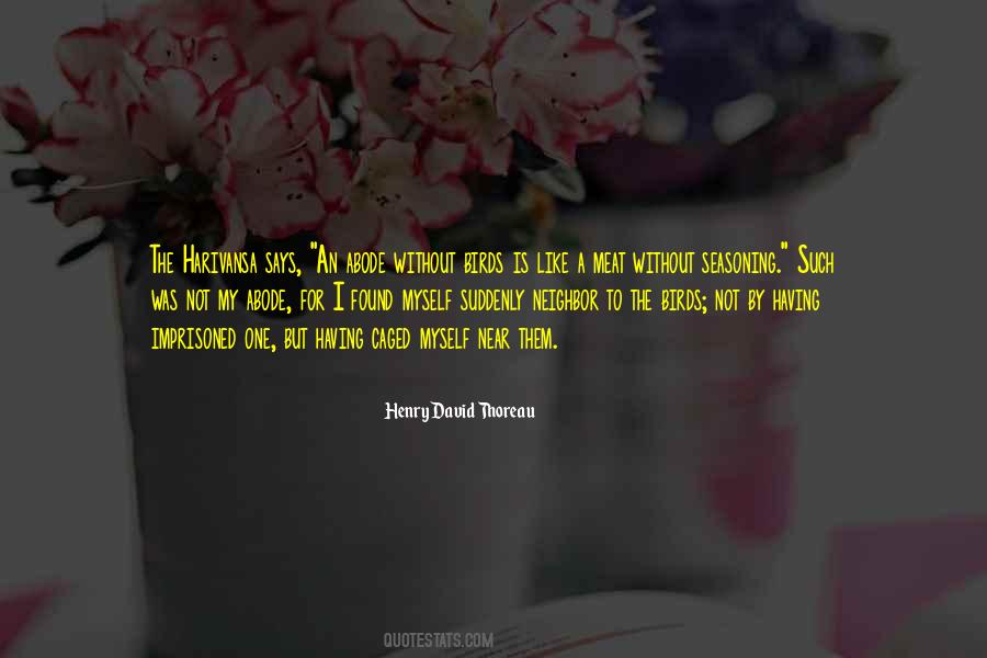 Cansei De Ser Quotes #1559537