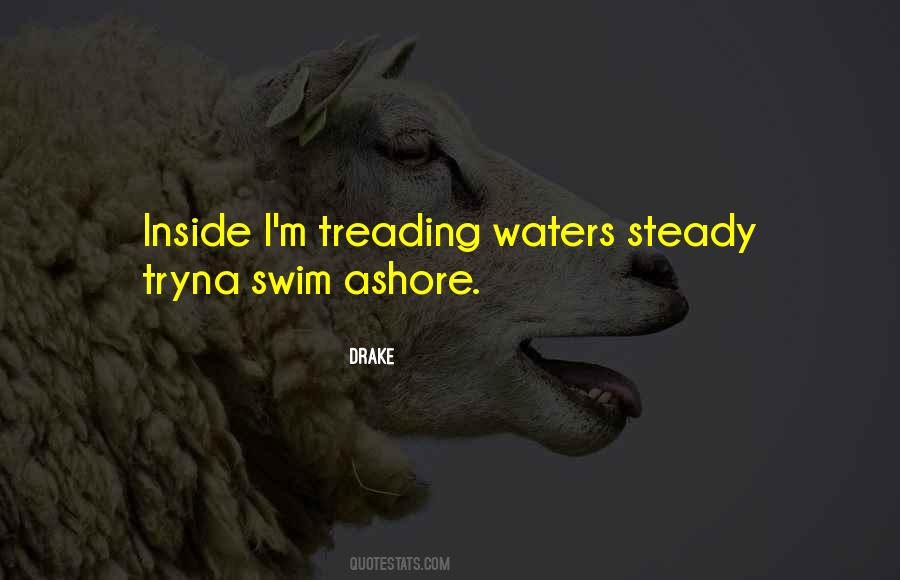 Joyless Careers Quotes #173374