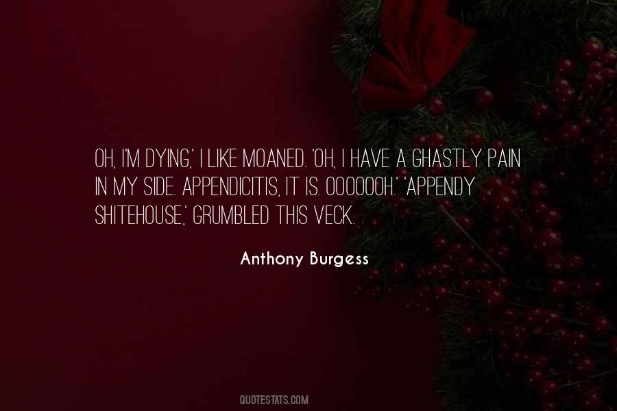 Burgess Quotes #308488