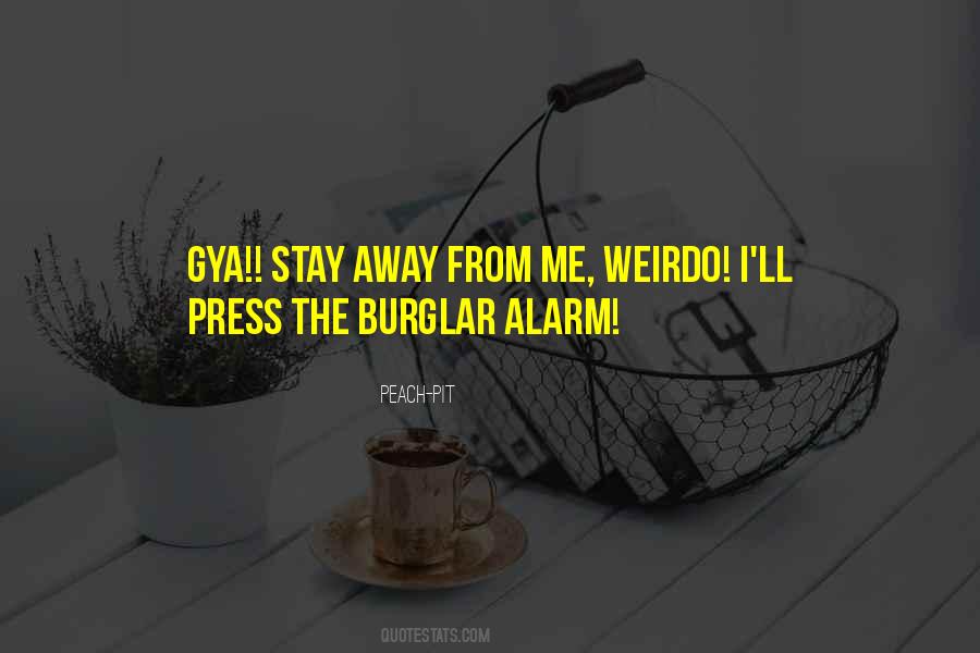 Burglar Quotes #768013