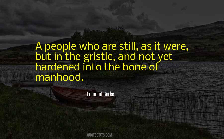 Burke Quotes #167937 Burke Quotes #167937