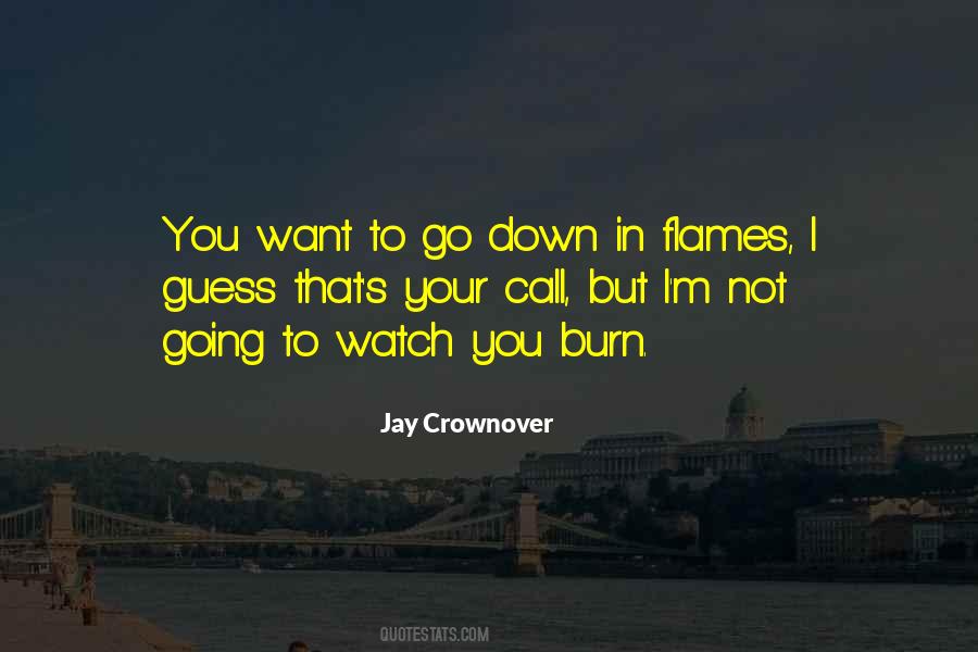 Burn Down Quotes #299831