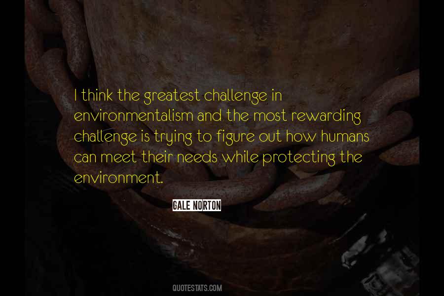 Meet The Challenge Quotes #62692